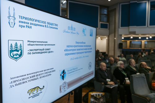 Отель Holiday Tagansky