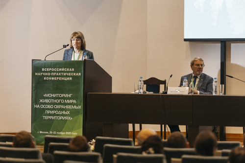 Отель Holiday Tagansky