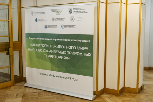 Отель Holiday Tagansky