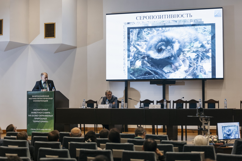 Отель Holiday Tagansky