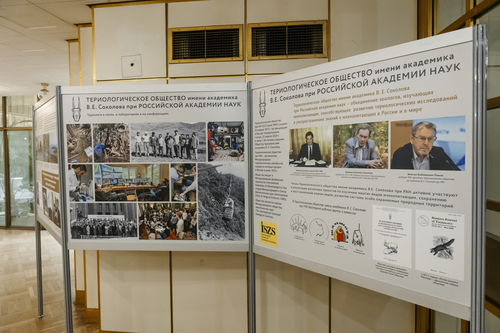 Отель Holiday Tagansky